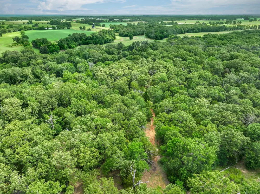 950 VZ County Road 1919 Fruitvale, TX 75127
