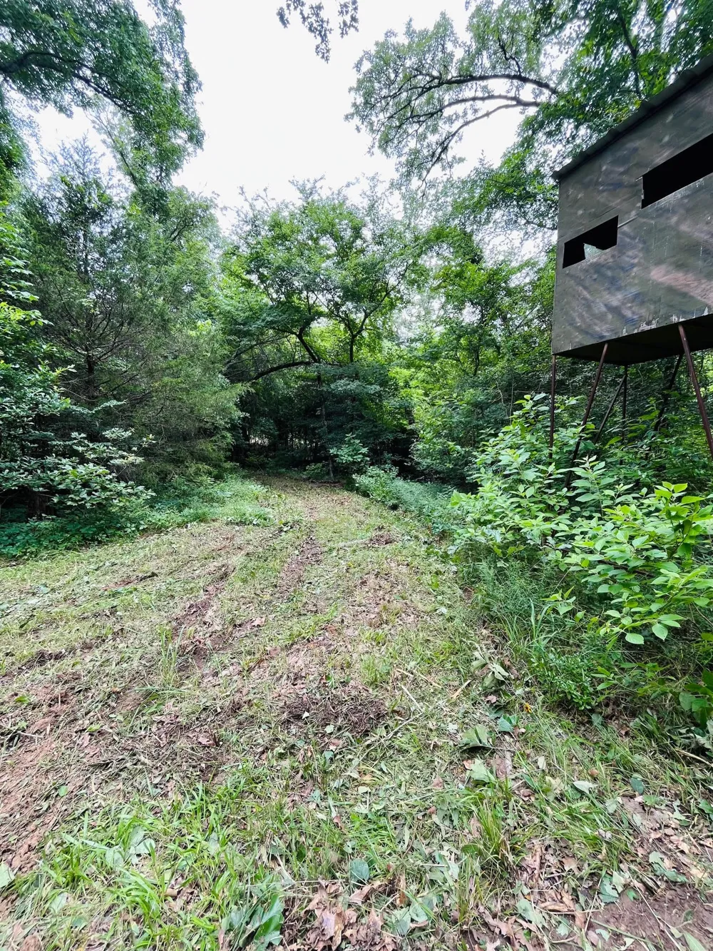 950 VZ County Road 1919 Fruitvale, TX 75127