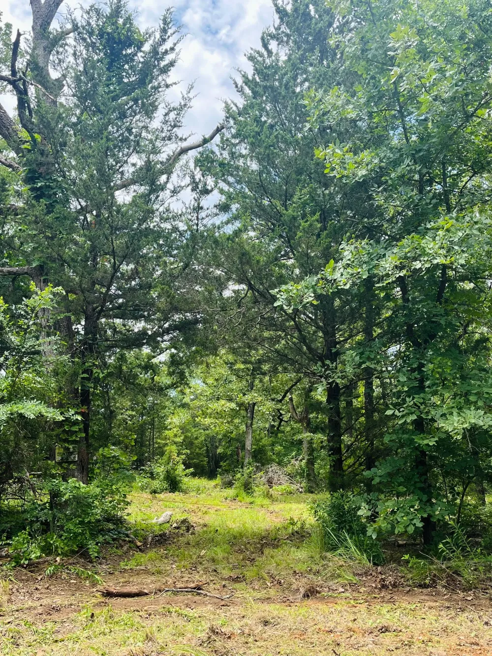 950 VZ County Road 1919 Fruitvale, TX 75127