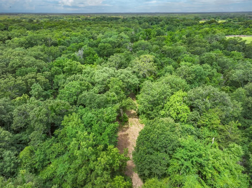 950 VZ County Road 1919 Fruitvale, TX 75127