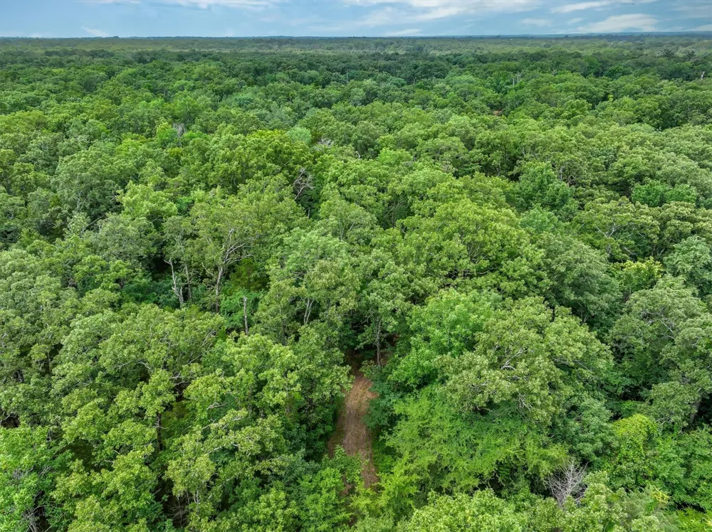 950 VZ County Road 1919 Fruitvale, TX 75127
