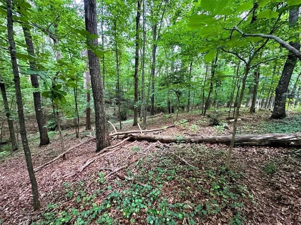00 Thornwood Drive Calhoun, GA 30701