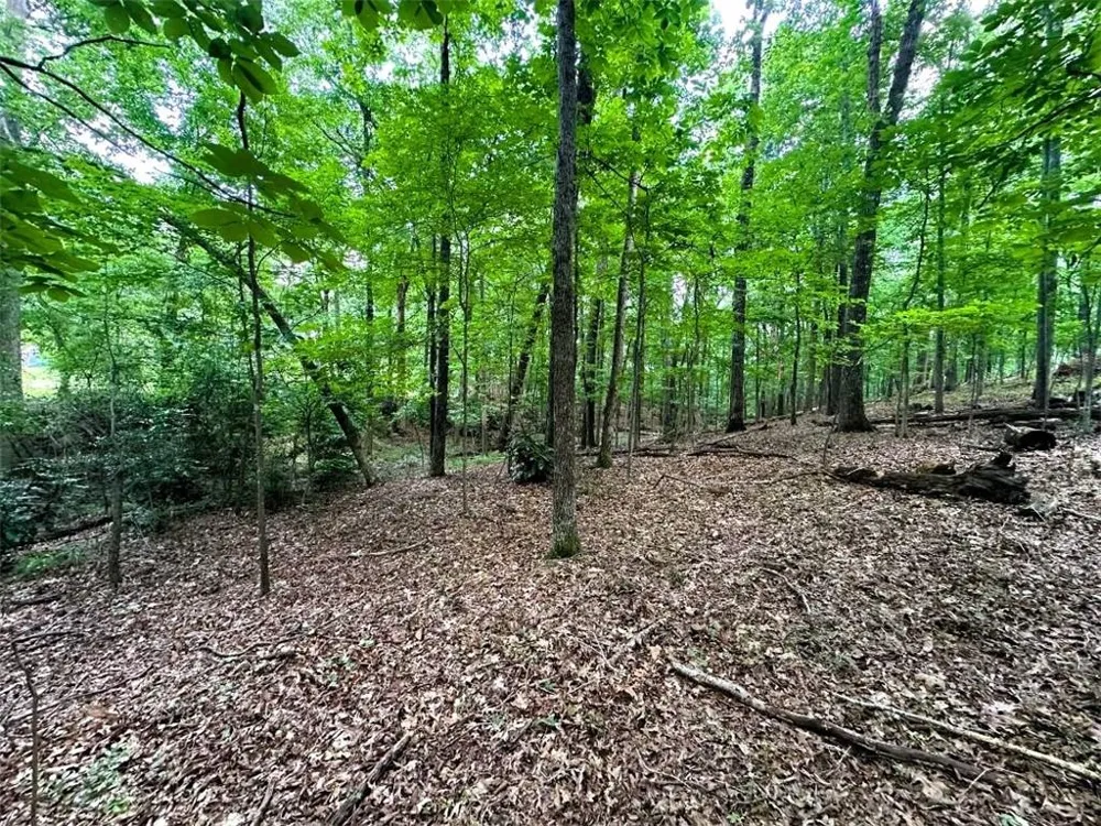 00 Thornwood Drive Calhoun, GA 30701