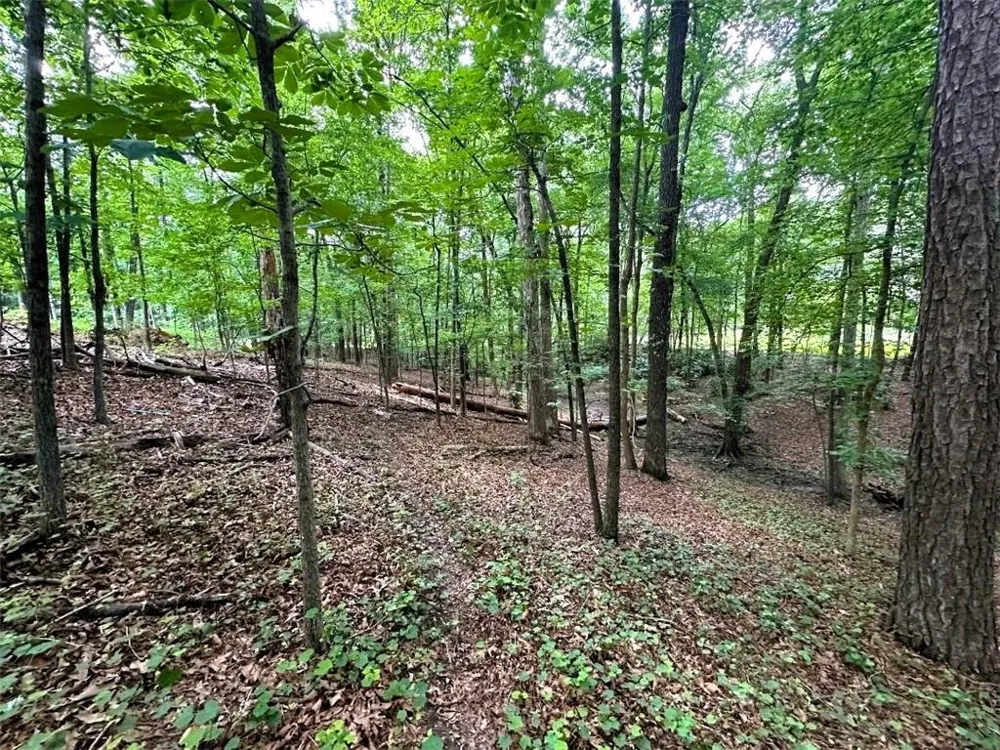 00 Thornwood Drive Calhoun, GA 30701
