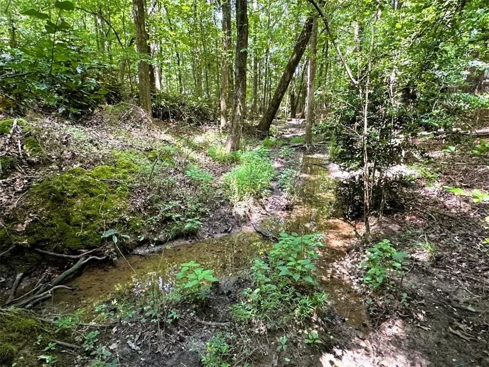 00 Thornwood Drive Calhoun, GA 30701