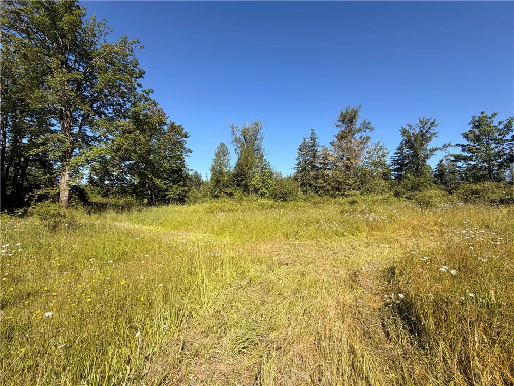 10252 400th Street E Eatonville, WA 98328