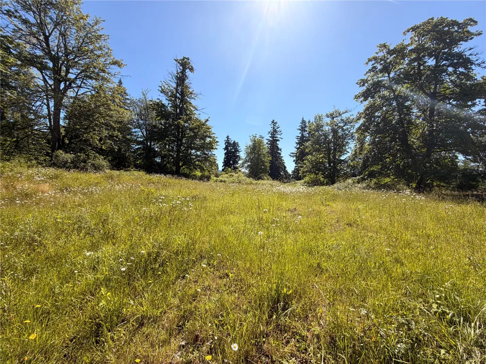 10252 400th Street E Eatonville, WA 98328