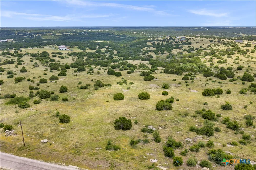 65 Three Creeks Drive Bertram, TX 78605