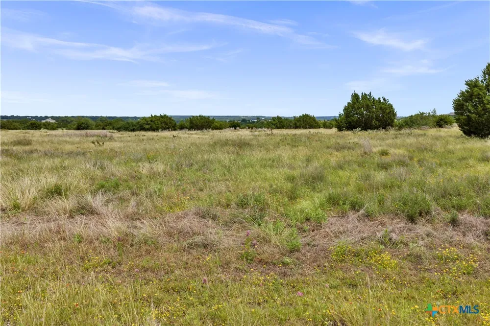 65 Three Creeks Drive Bertram, TX 78605