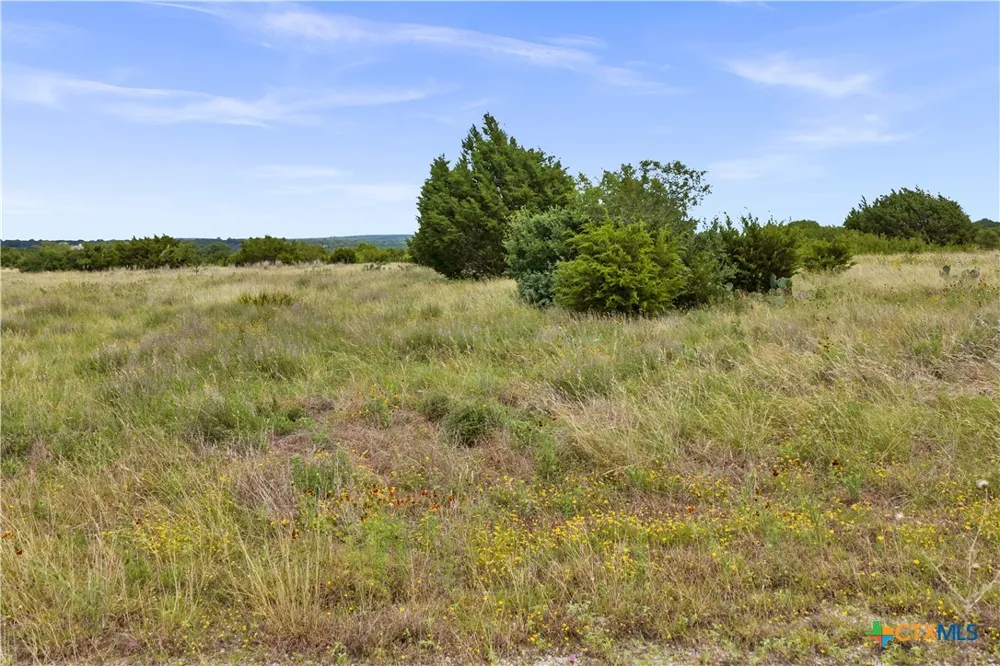 65 Three Creeks Drive Bertram, TX 78605