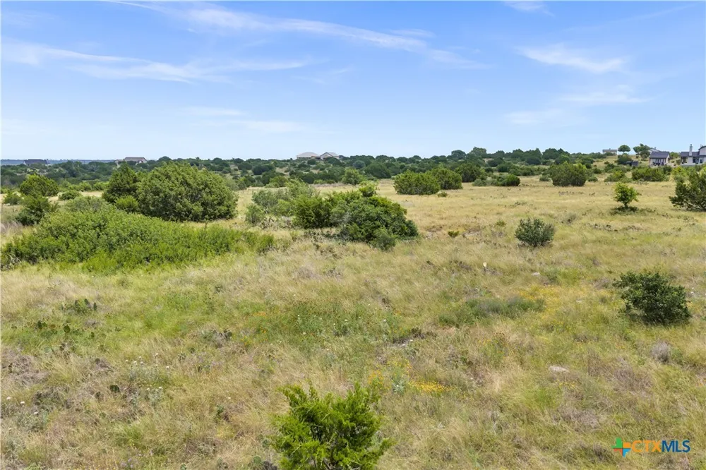 65 Three Creeks Drive Bertram, TX 78605