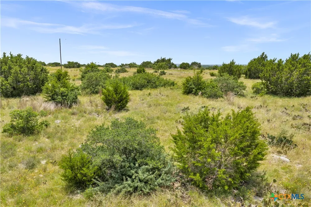 65 Three Creeks Drive Bertram, TX 78605