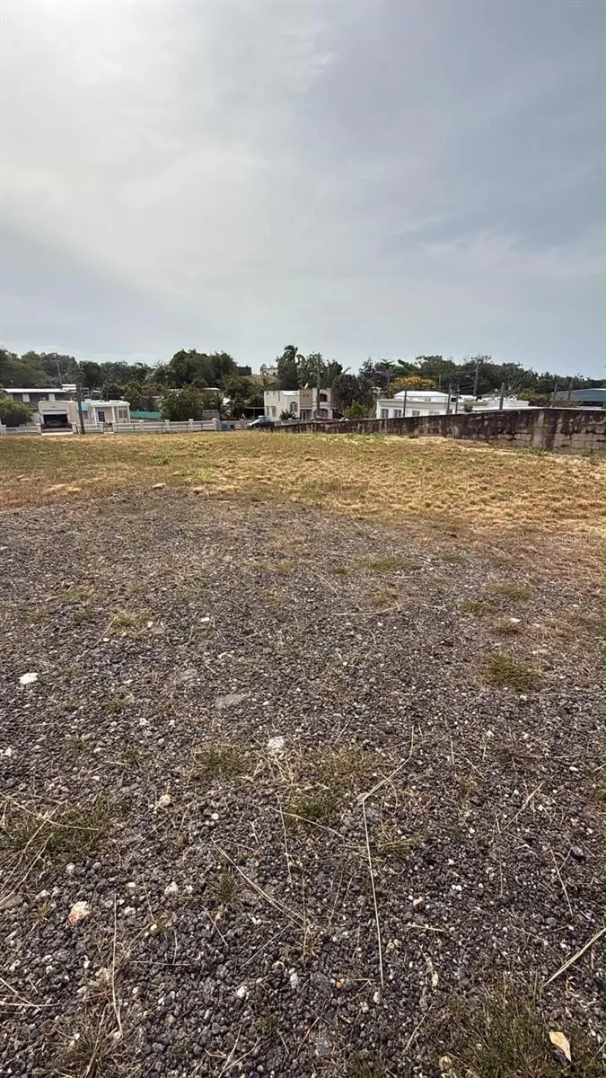 CARR 637 BO MIRAFLORES SECTOR BIAFARA Arecibo, PR 00612