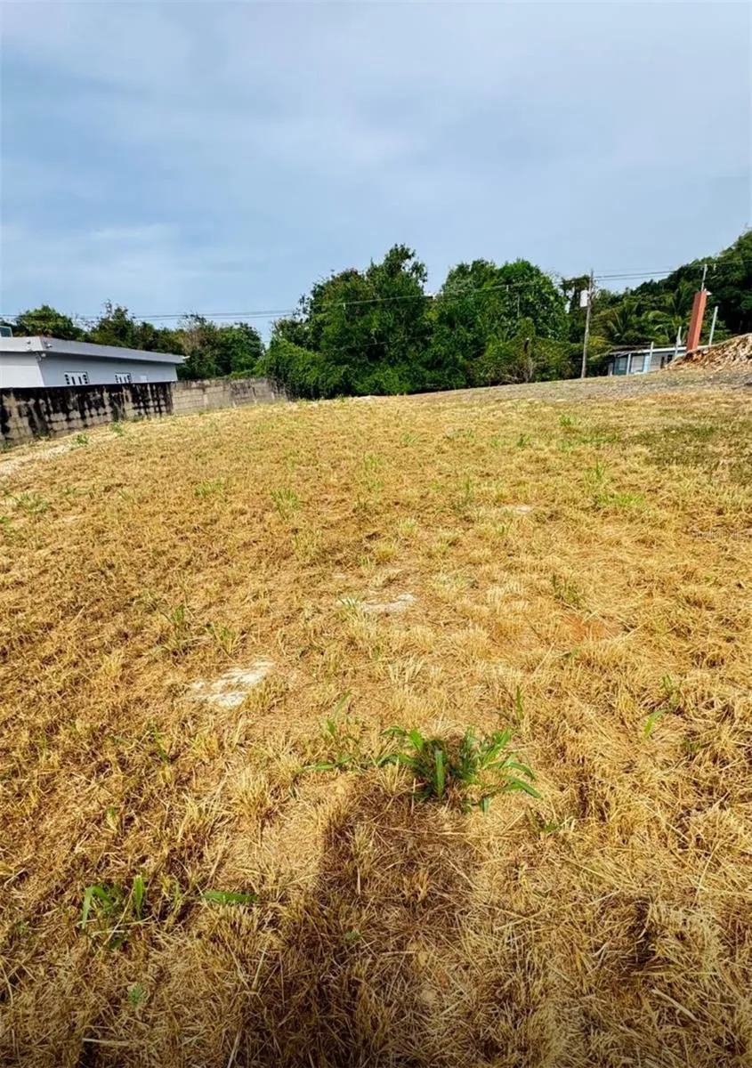 CARR 637 BO MIRAFLORES SECTOR BIAFARA Arecibo, PR 00612