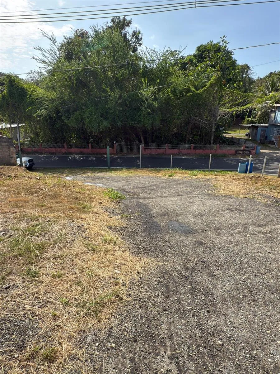 CARR 637 BO MIRAFLORES SECTOR BIAFARA Arecibo, PR 00612
