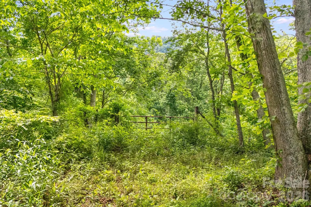 224 Allen Drive Marshall, NC 28753