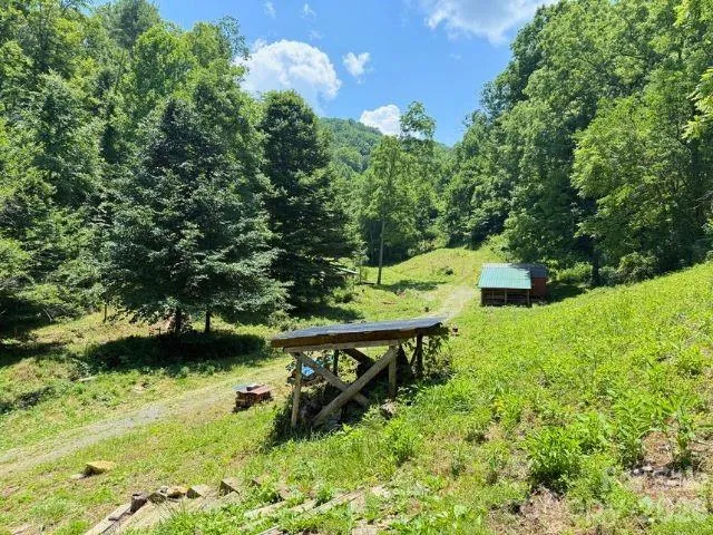 224 Allen Drive Marshall, NC 28753