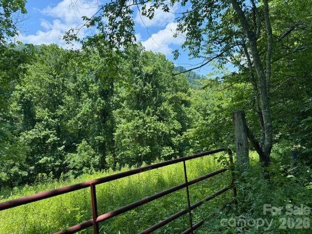 224 Allen Drive Marshall, NC 28753