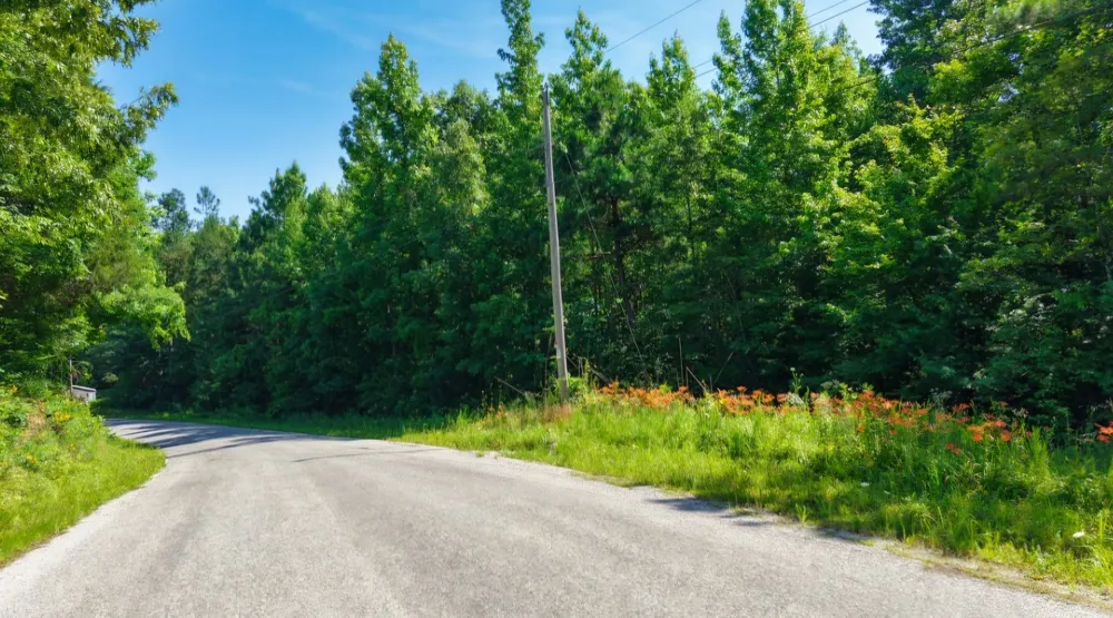 0 Beech Ridge Rd Parsons, TN 38363