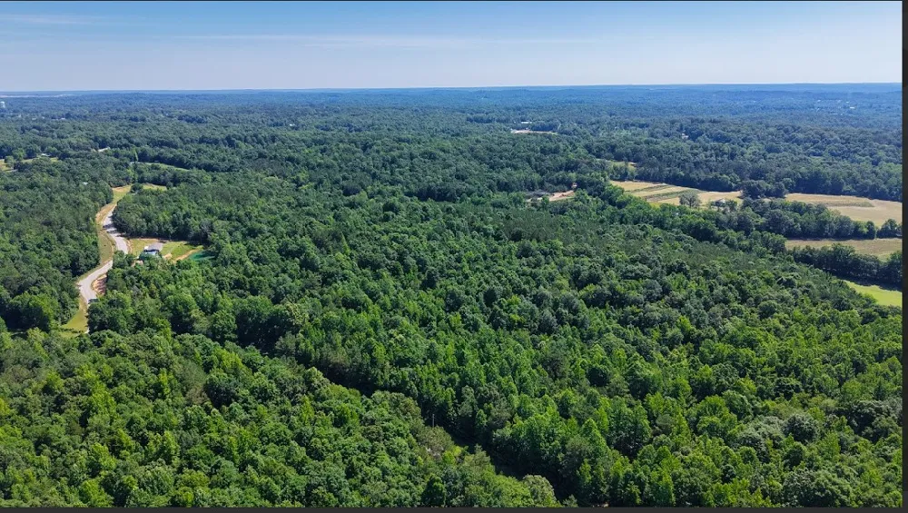 0 Beech Ridge Rd Parsons, TN 38363