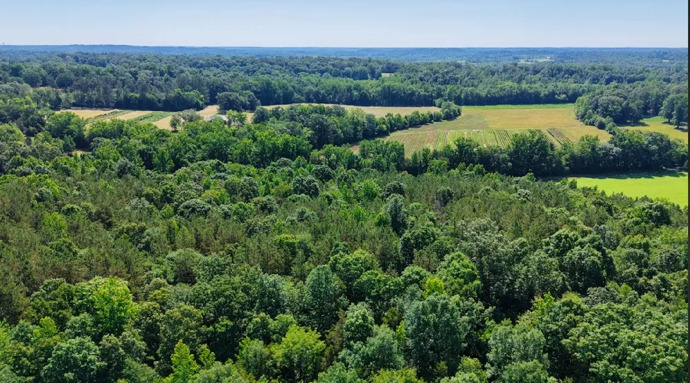 0 Beech Ridge Rd Parsons, TN 38363
