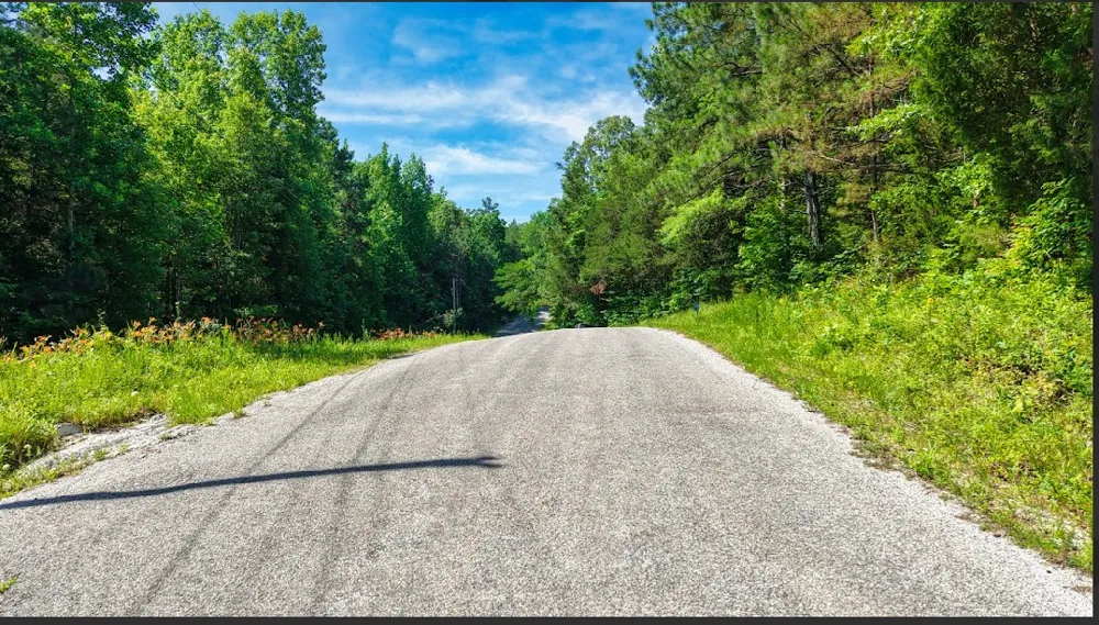 0 Beech Ridge Rd Parsons, TN 38363