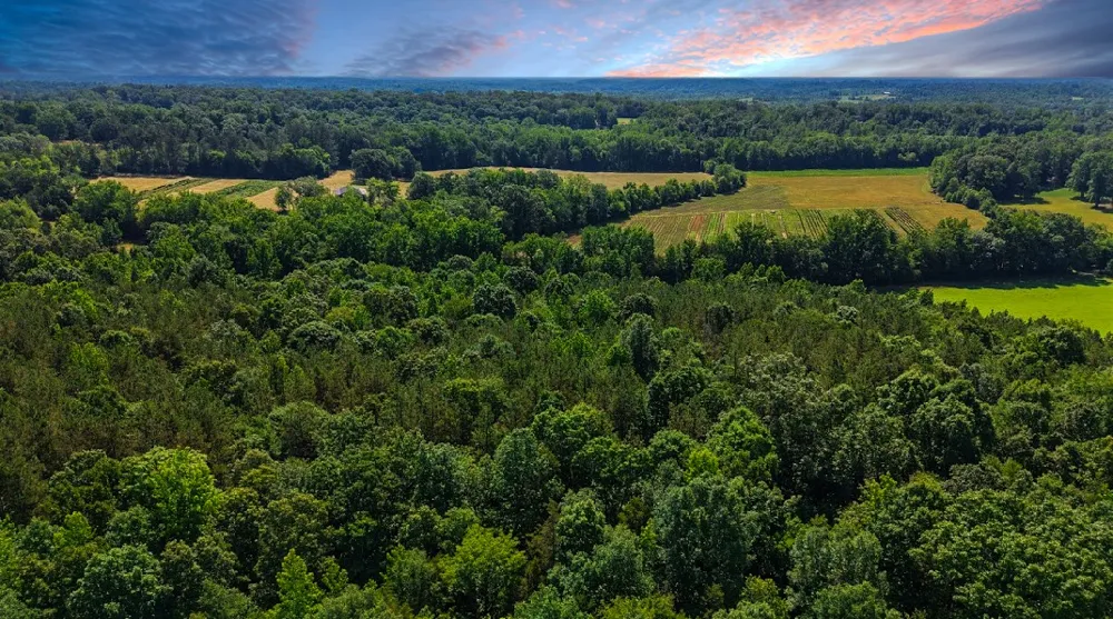 0 Beech Ridge Rd Parsons, TN 38363