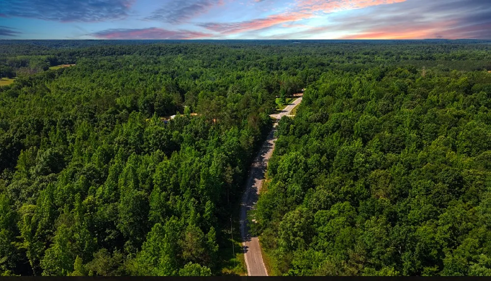 0 Beech Ridge Rd Parsons, TN 38363