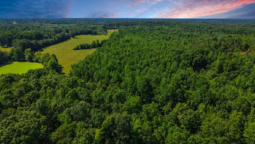 0 Beech Ridge Rd Parsons, TN 38363