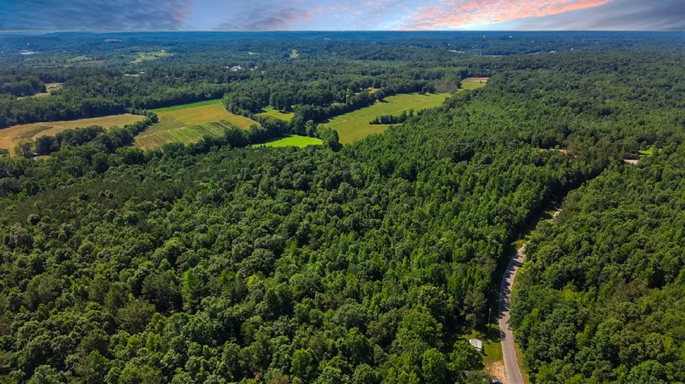 0 Beech Ridge Rd Parsons, TN 38363