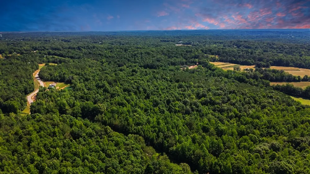 0 Beech Ridge Rd Parsons, TN 38363