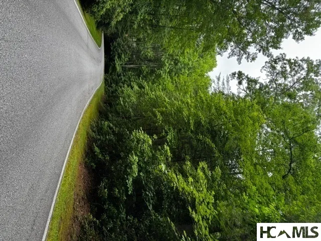 48B Big Pine Road Sapphire, NC 28774