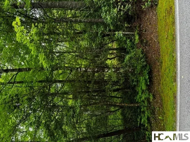 48B Big Pine Road Sapphire, NC 28774