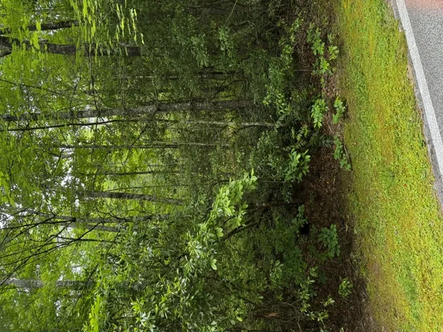 47B Big Pine Road Sapphire, NC 28774