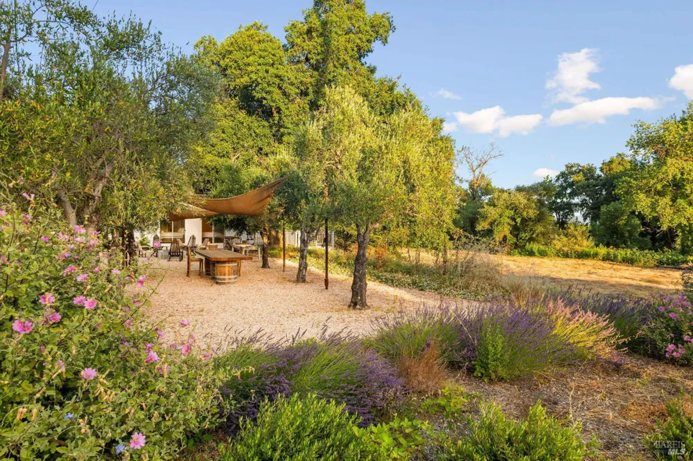 691 Silverado Trail S St. Helena, CA 94574