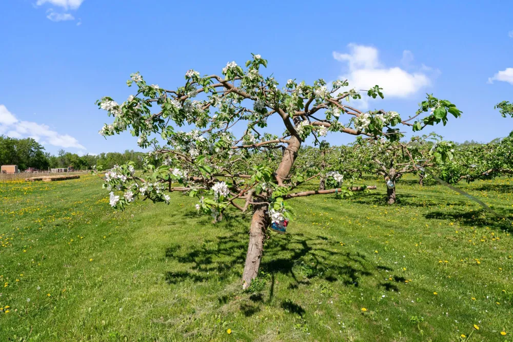 5561 115th Street E Northfield, MN 55057
