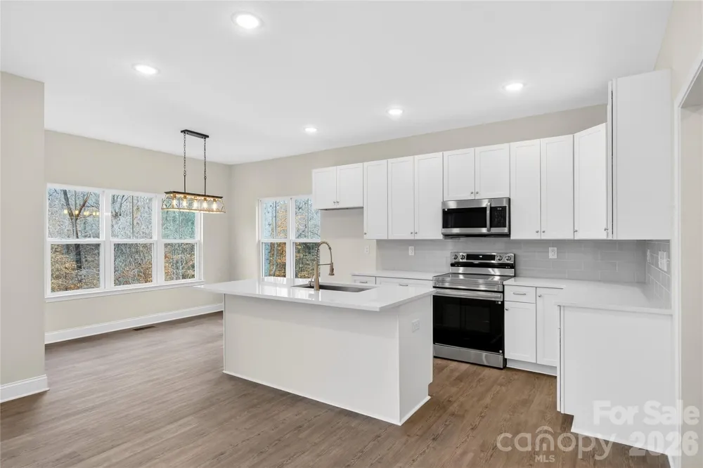 229 Shenandoah Loop Troutman, NC 28166