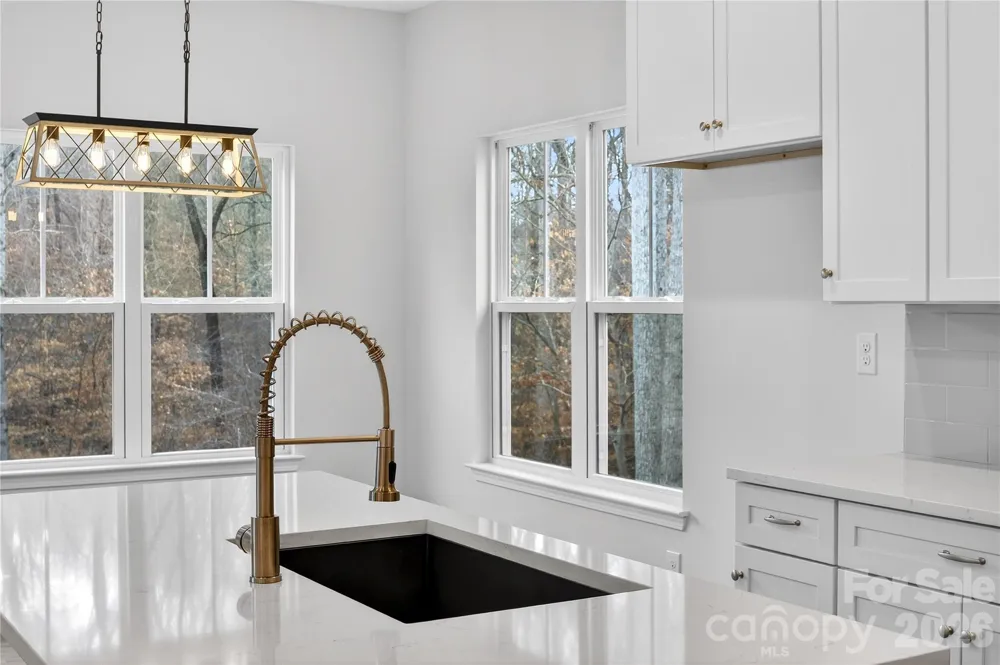 229 Shenandoah Loop Troutman, NC 28166