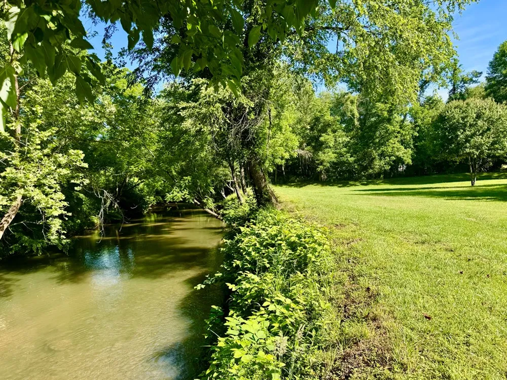 6389 Old Hwy 64 W Warne, NC 28909