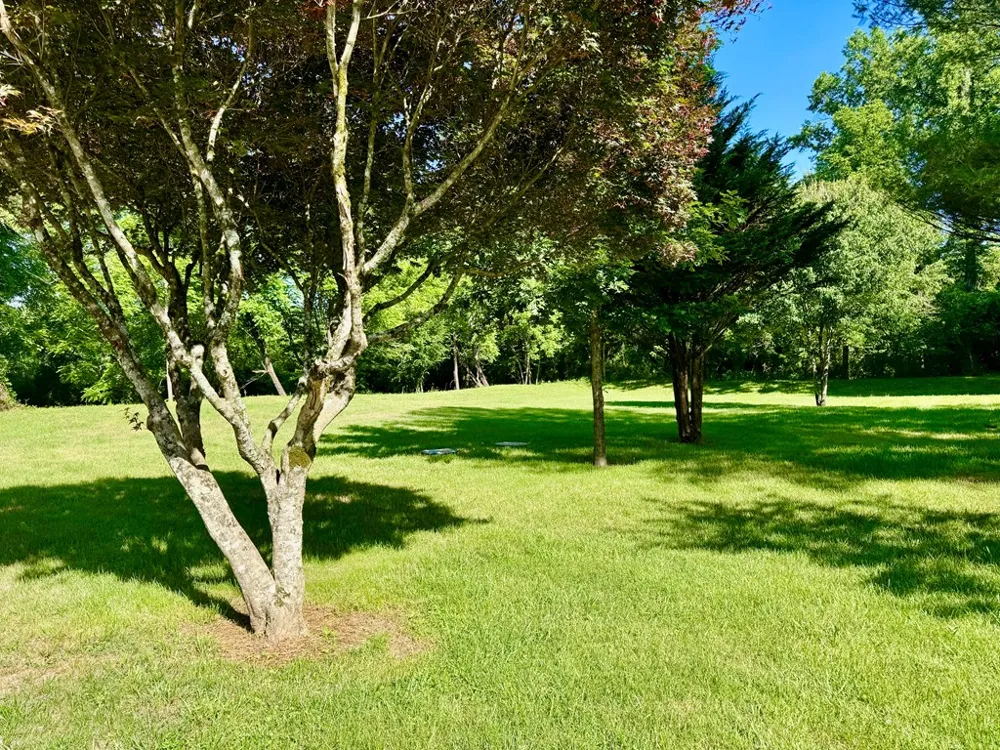 6389 Old Hwy 64 W Warne, NC 28909