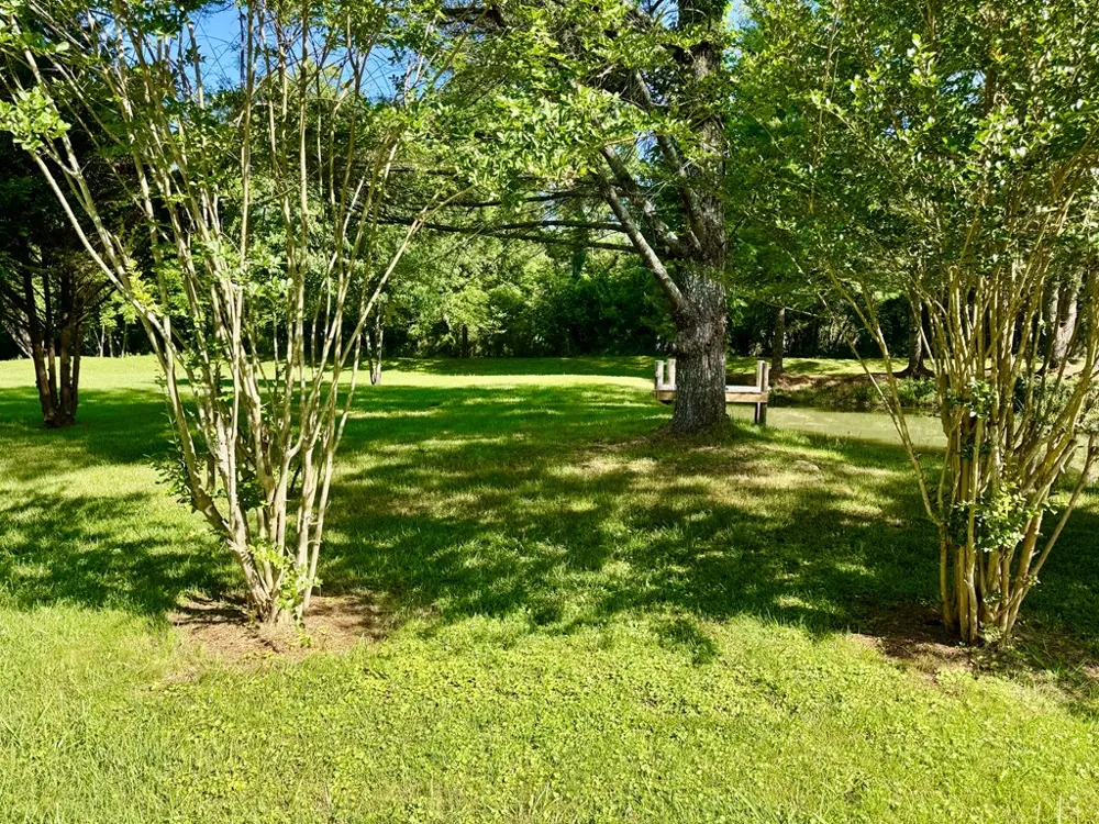 6389 Old Hwy 64 W Warne, NC 28909