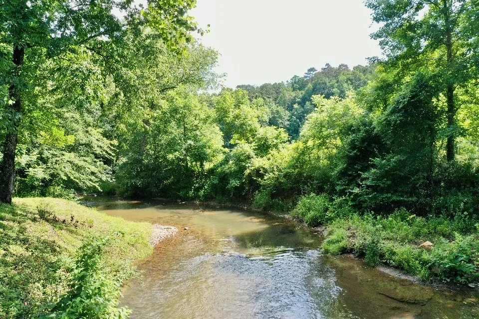 6389 Old Hwy 64 W Warne, NC 28909