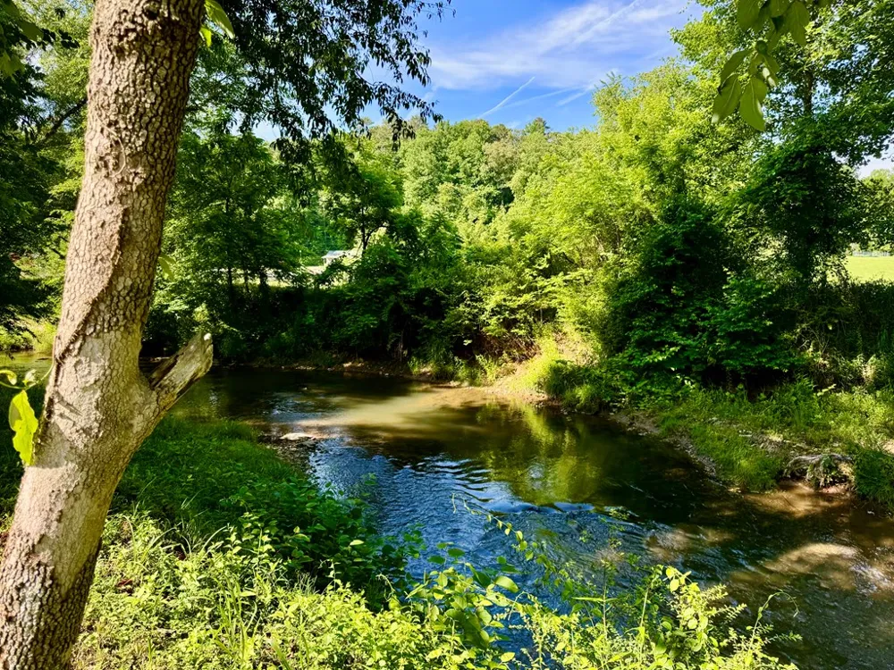 6389 Old Hwy 64 W Warne, NC 28909