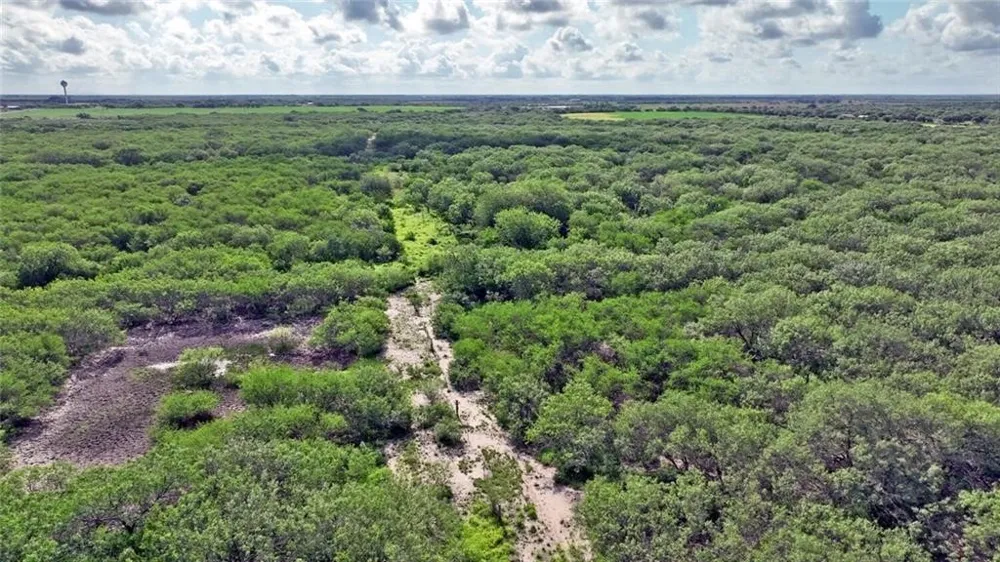 CR 2170 W Kingsville, TX 78363
