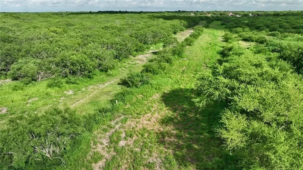 CR 2170 W Kingsville, TX 78363