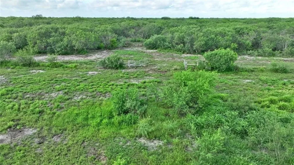 CR 2170 W Kingsville, TX 78363