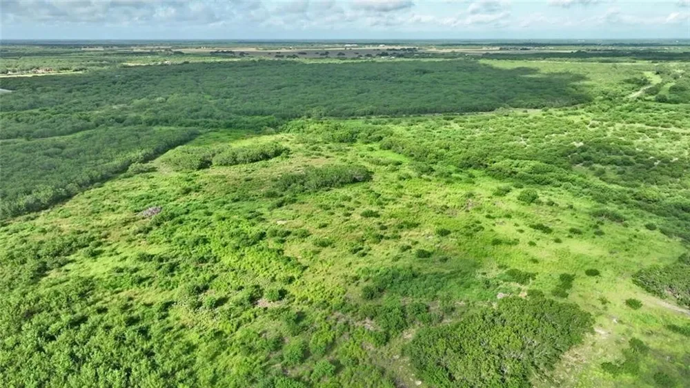 CR 2170 W Kingsville, TX 78363