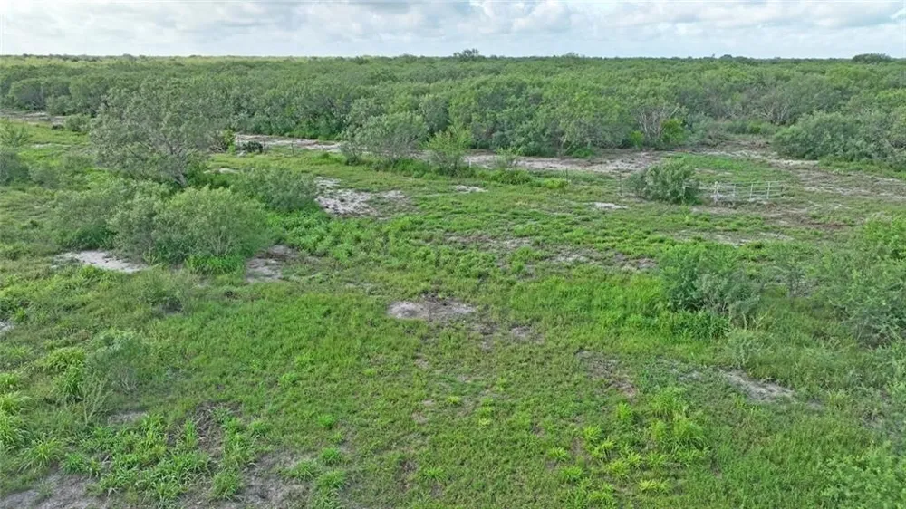 CR 2170 W Kingsville, TX 78363