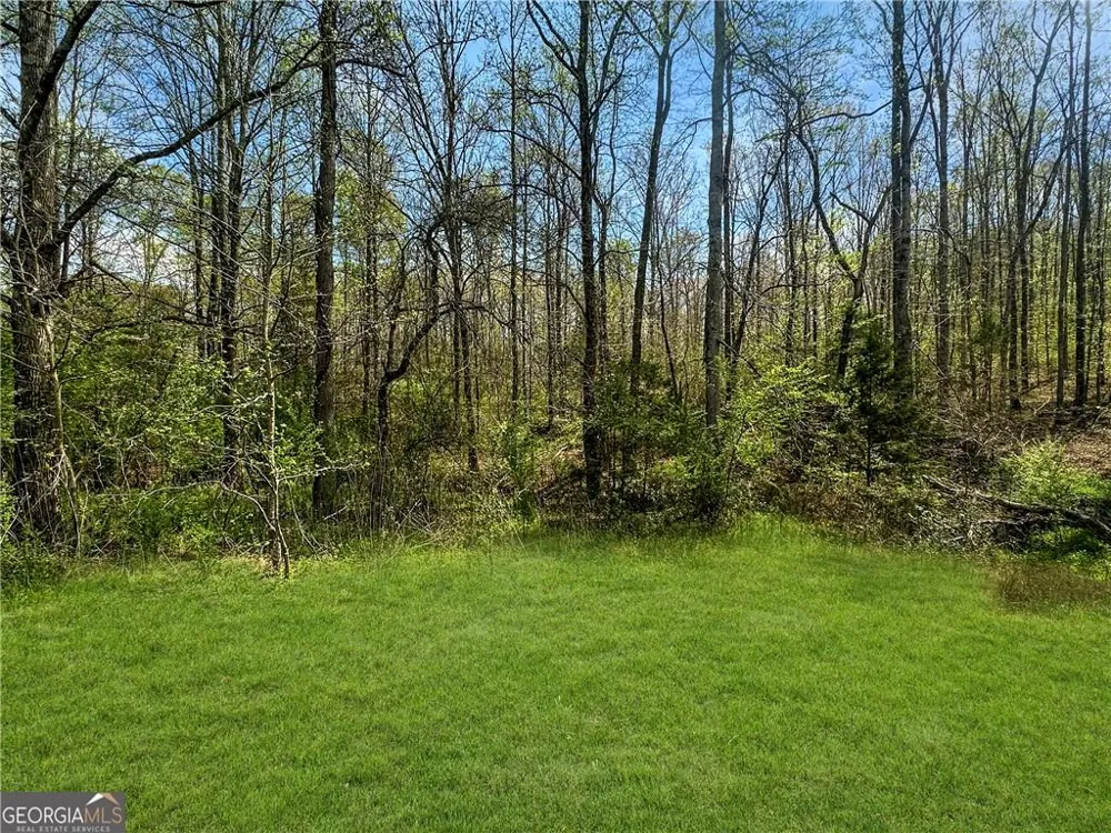 960 Gooseneck Road Eastanollee, GA 30538