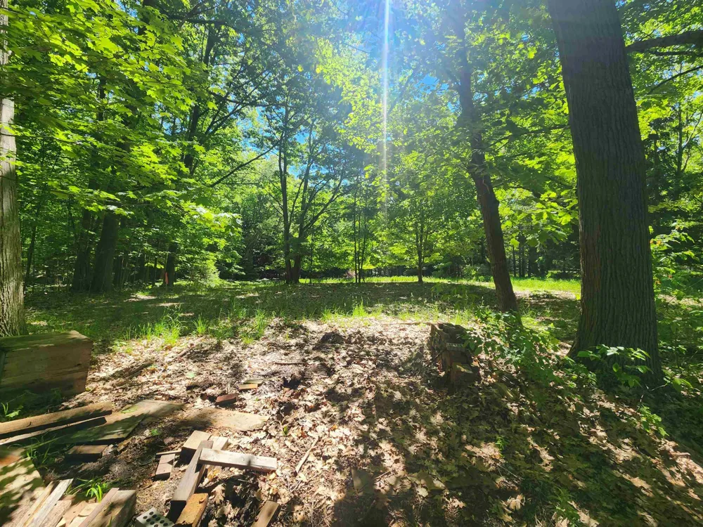 18219 Northwood Highway Arcadia Township, MI 49613